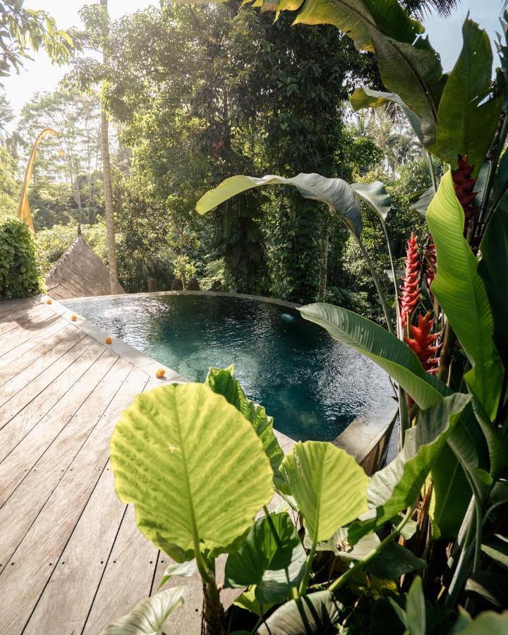 Basundari Retreat Ubud Hotel Екстериор снимка
