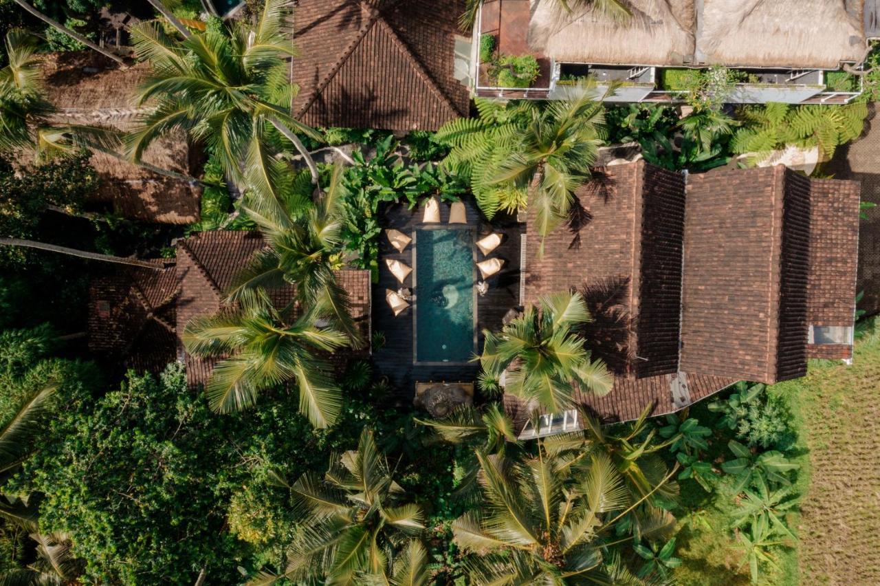 Basundari Retreat Ubud Hotel Екстериор снимка